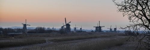 Kinderdijk 1