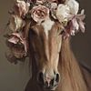 Cheval avec des fleurs sur Bert Nijholt