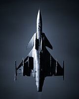 Armée de l'air tchèque - JAS-39C Gripen