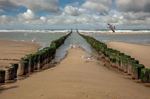 Paalhoofd bij Oostkapelle