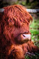 Ein schottischer Highlander