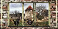 Fensterblick - Amselgespräche  auf der Burg von Christine Nöhmeier Miniaturansicht