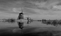 Kinderdijk van Stephan van Krimpen thumbnail
