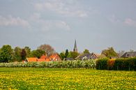 Obstgarten in Blüte und Dorf in der Betuwe von Bram van Broekhoven Miniaturansicht