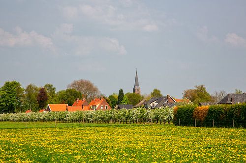 Orchard in blossom and village in the Betuwe by Bram van Broekhoven