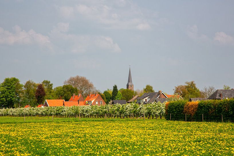 Obstgarten in Blüte und Dorf in der Betuwe von Bram van Broekhoven