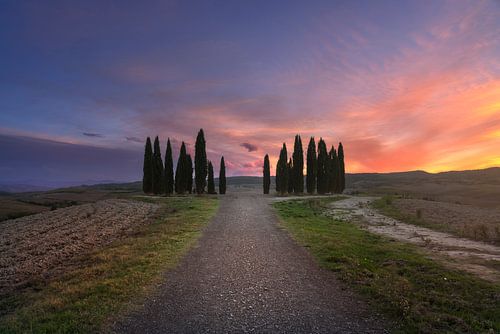 De cirkel van cipressen van Val d'Orcia. Toscane