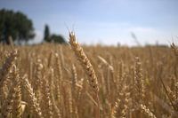 Natuur