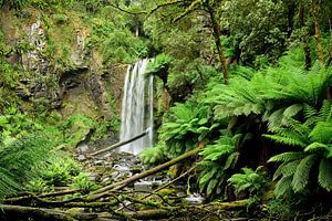 Wir haben den Fuß der Hopetoun Falls erreicht.