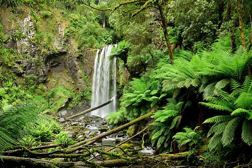 We'hebben de basis van Hopetoun Falls bereikt