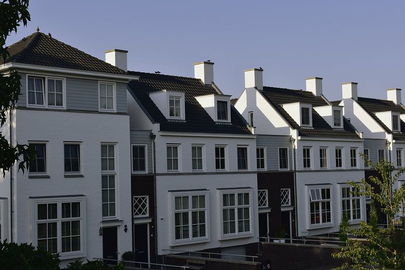 White Houses HMS by H,M SOETENS