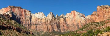 The West Temple im Zion Nationalpark von Markus Lange