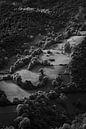 A Landscape in Pico's de Europa by Rogier Muller thumbnail