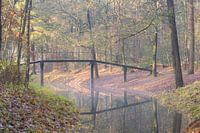 Magische ochtend op landgoed Heidestein!