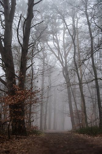 Wolfhezerheide part 120