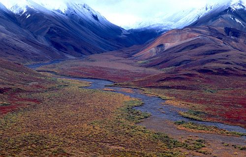 Alaska, Denali-Nationalpark