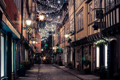 Erfurt Krämerbrücke met Kerstmis