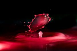 druppel van John Kiesel