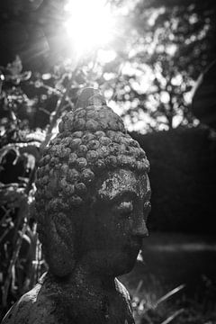 Buddha-Statue schwarz und weiß von Jack Tummers
