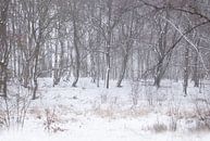 neige par hanny bosveld Aperçu