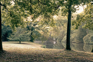 Paleispark het Loo Teil 2