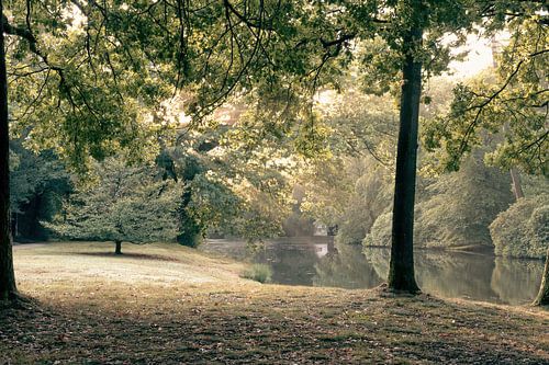 Paleispark het Loo part 2