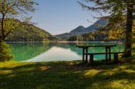 De Walchensee van Erwin Martin thumbnail