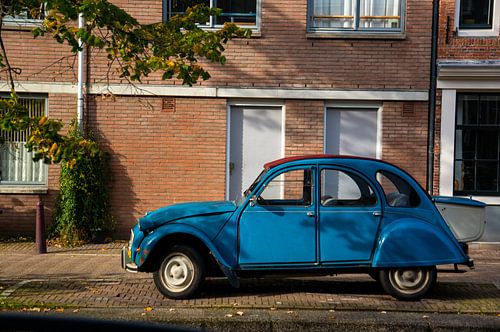 Blaues hässliches Entlein