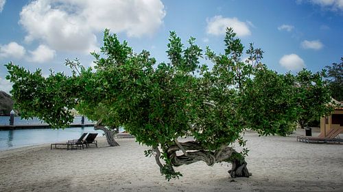 Curaçao strand Barbara beach