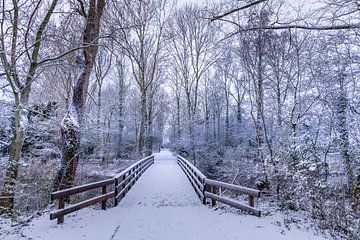 winter brug in het bos