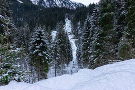 Krimml national park by Marjorie Ruts