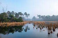 Halve Maan met weerspiegeling