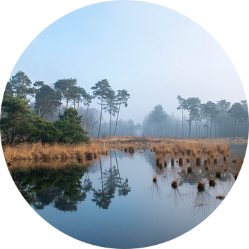 Halve Maan met weerspiegeling van Jacqueline De Rooij Fotografie