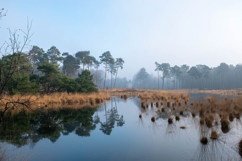 Halve Maan met weerspiegeling van Jacqueline De Rooij Fotografie