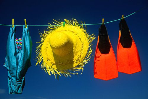 Swimwear on the line