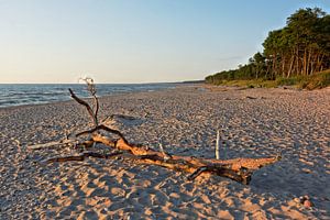 Ein stimmungsvoller Sommerabend am Strand