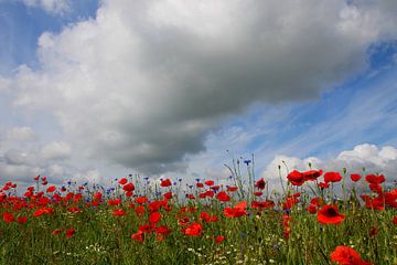 Die dicke Wolke von Ostsee Bilder