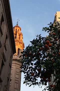 Valencia Ruzafa - sinaasappelboom - golden hour van Iseline Visser