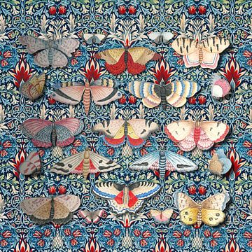 Patterns & Butterflies van Marja van den Hurk