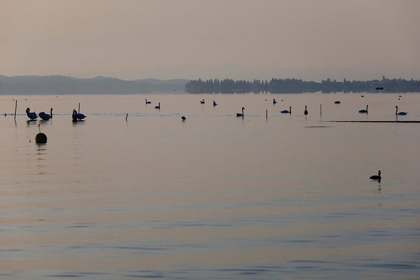 De Bodensee in de ochtend van Thomas Jäger