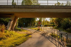 Golden Hour unter der Brücke – Schattenspiele am Radweg