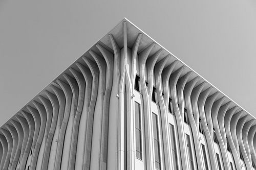 Amare aan het Spui. Den Haag, Niederlande