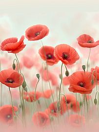 Mohnblumen von Bert Nijholt