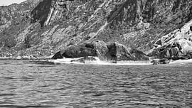 Norway by the fjord, spray on the rocks. Water splashes against the stones. Coastal landscape. by Martin Köbsch