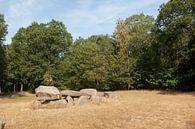 Hunebed D35 van Richard Wareham thumbnail