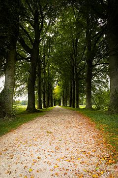 Herbstanfang von SchumacherFotografie