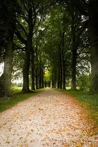 Beginnende herfst