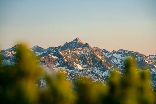 Herfstuitzicht op de Hochvogel vanaf de Spießer
