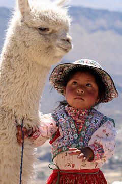 Peruanisches Mädchen mit ihrem Alpaka von Gert-Jan Siesling