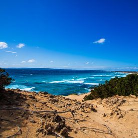 Holen Sie sich den Zauber Formenteras in Ihr Haus - Calo d'Es Mort von Guido Berkers